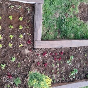 Jardinera de huerto construida con durmientes de madera nativa