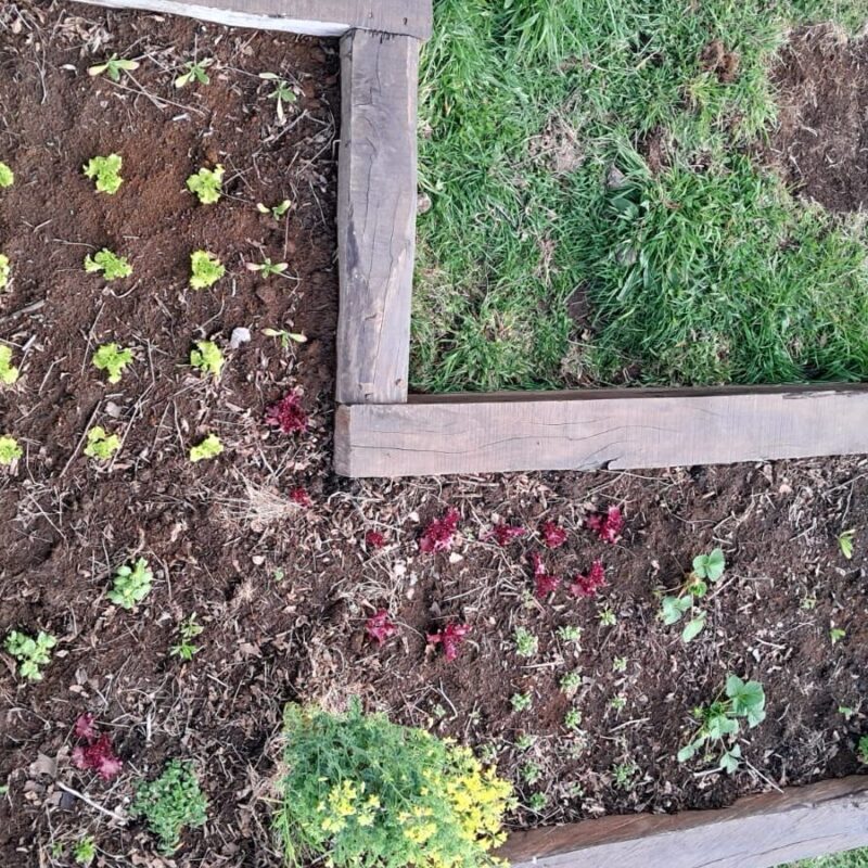 Jardinera de huerto construida con durmientes de madera nativa