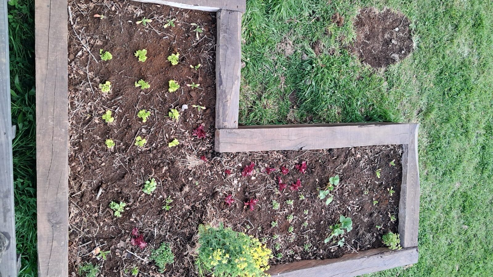 Jardinera de huerto construida con durmientes de madera nativa